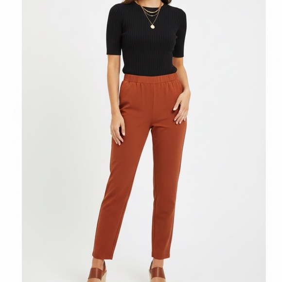 Ankle Pants Size 4 Rust Burnt Orange Slim Fit Pull On Workwear A New Day Casual - Picture 15 of 15